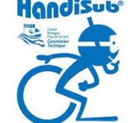 logo handisub